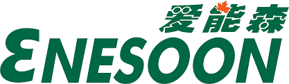 Enesoon
